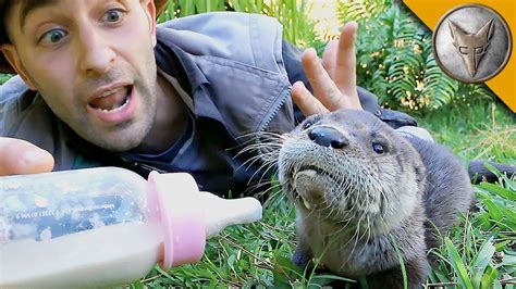 Baby Otter Feeding Time! - YouTube