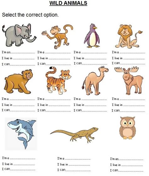 Wild Animals Worksheets