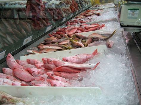 Fresh fish at Dekalb Farmer's Market. | Dekalb farmers market, Food critic, Farmers market