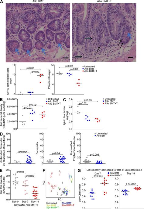 GVHD in mice produces marked changes in the microbiota. (A) B6 mice... | Download Scientific Diagram