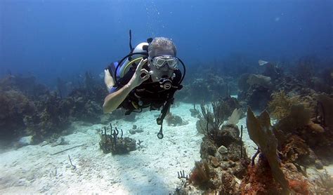 Best Scuba Diving Bayahibe Ultra Marine Divers