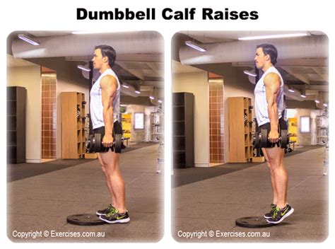 Dumbbell Calf Raises