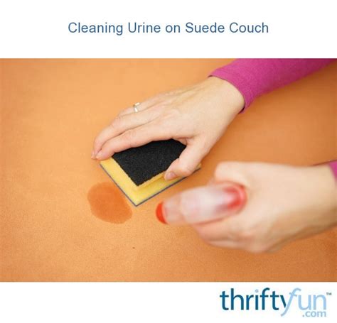 Cleaning Urine on a Suede Couch | ThriftyFun