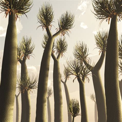 Sigillaria Trees | Stigmaria | Weird trees, Trees to plant, Prehistoric ...