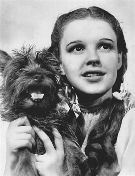 Judy Garland as Dorothy with dog Toto in Wizard of oz The Wizard Of Oz, Wizard Of Oz Movie ...