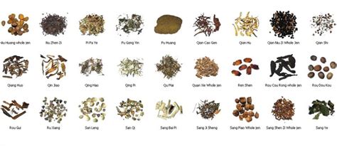 chinese herbs chart2 | Abacus Chinese Medicine