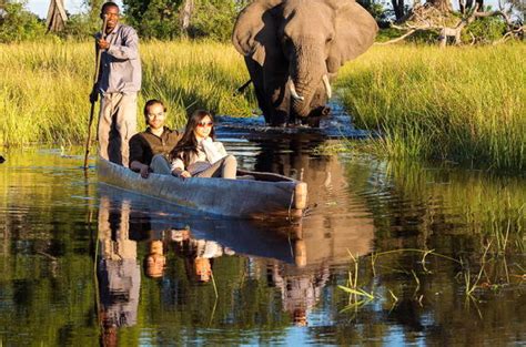 Images of Botswana Elephant Safari Tour | Okavango Delta