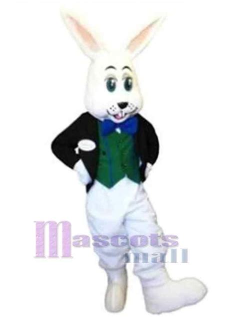 Rabbit Boy Mascot Costume Animal