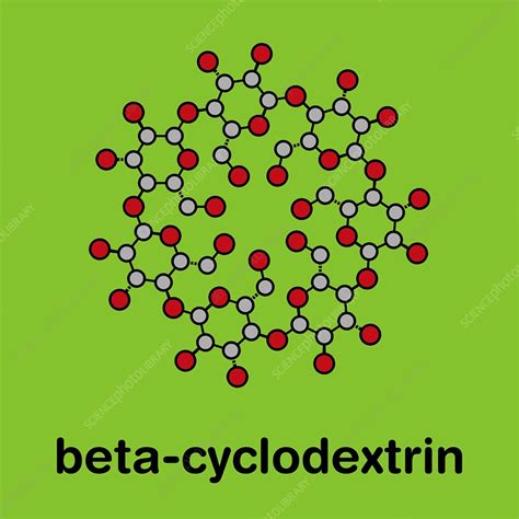 Beta-cyclodextrin molecule, illustration - Stock Image - F030/5005 ...