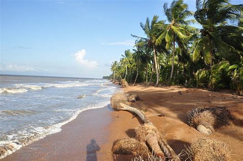 Two shot dead at Shell Beach - Guyana Chronicle