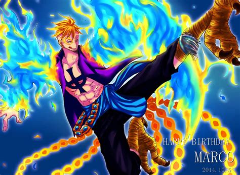 Marco One Piece Wallpapers - Wallpaper Cave