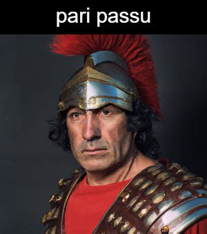 What does the Latin term "pari passu" mean?