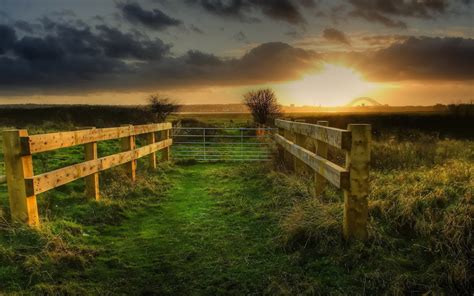 Download Man Made Fence HD Wallpaper