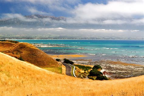 Kaikoura Day Tour - Scenic Pacific Tours