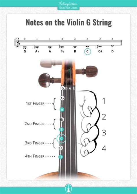 All Violin Notes for Beginners [Easy PDF Charts] - Violinspiration