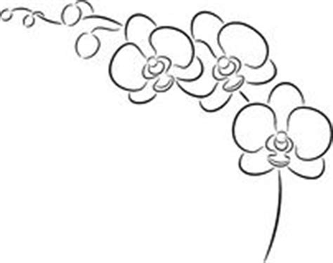 White orchid clipart 20 free Cliparts | Download images on Clipground 2024
