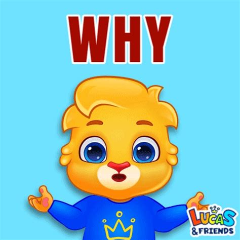 Why Whyyyy GIF - Why Whyyyy But why - Discover & Share GIFs