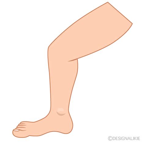 Leg Calf Clipart