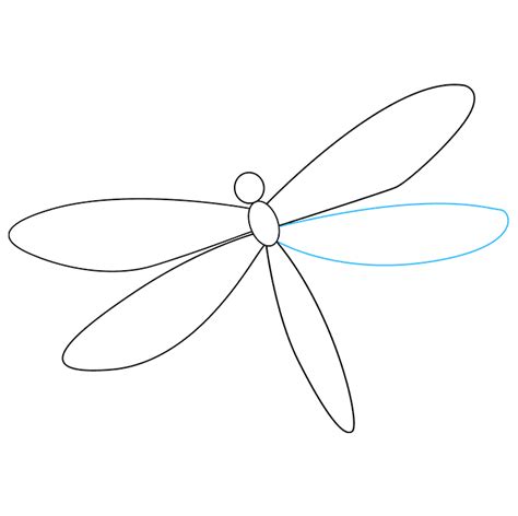 How to Draw a Dragonfly - Really Easy Drawing Tutorial