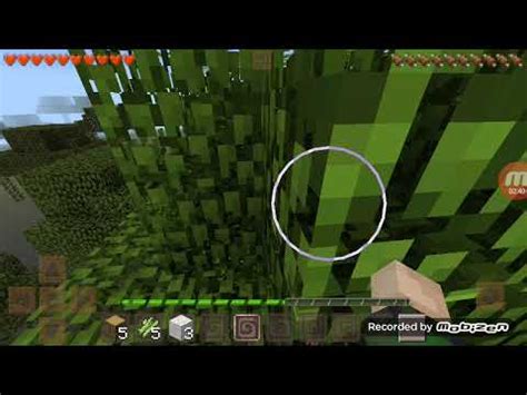 Multiplayer world craft - YouTube