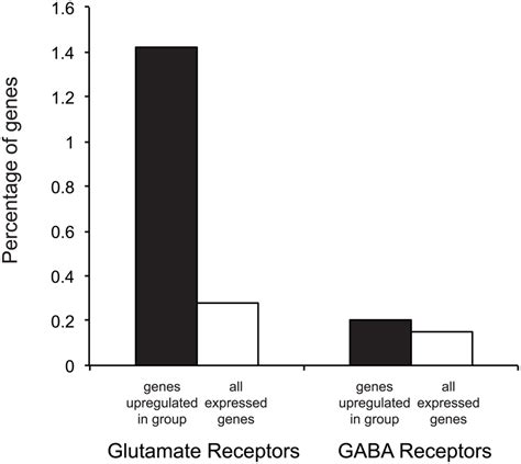 Glutamate receptors are enriched in the list of upregulated genes from... | Download Scientific ...