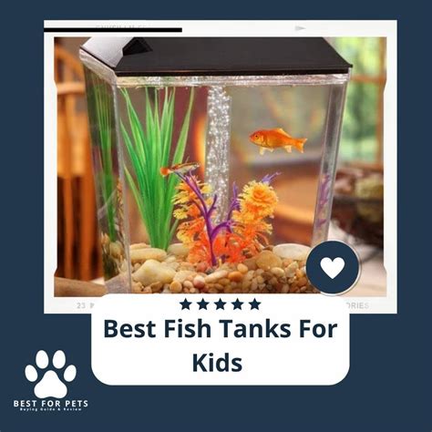 The 11 Best Fish Tanks For Kids - BestForPets.org