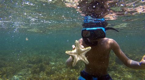 Explore Cahuita National Park on this Snorkeling and Hiking adventure