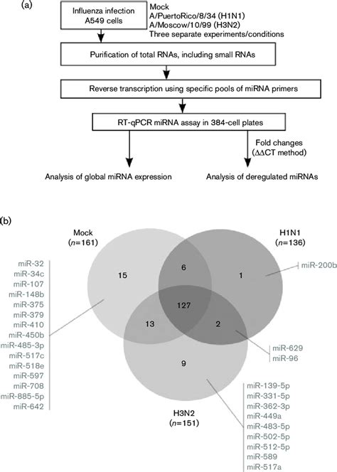 Global miRNA expression analysis reveals particular cellular miRNA ...