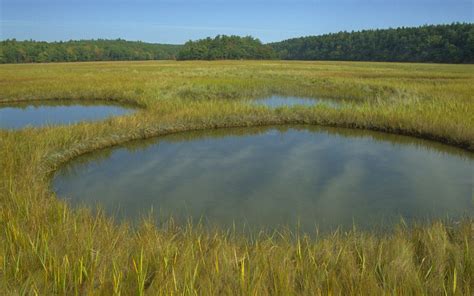 Ecosystem Services: Delivering Decision-Making for Salt Marshes | Mapping Ocean Wealth