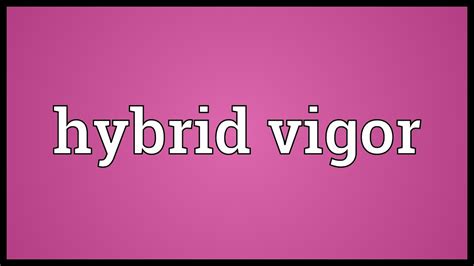 Hybrid vigor Meaning - YouTube