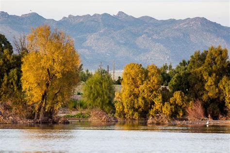 Town trying to find right solution to ‘Lake Marana’ | Marana News | tucsonlocalmedia.com