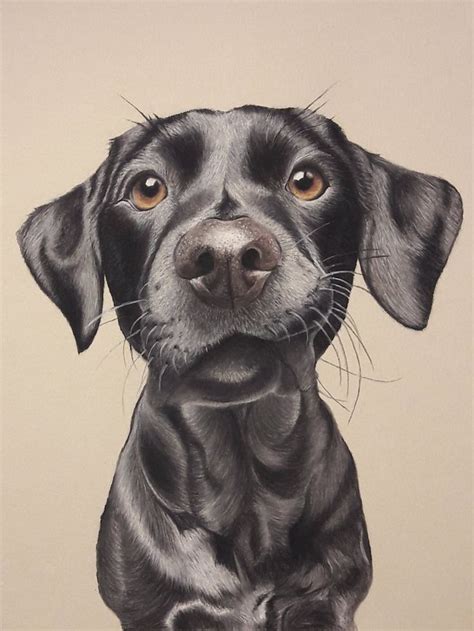 Custom Pastel Pencil Drawing Dog Portrait | Etsy | Pintura perro, Dibujos realistas, Dibujos bonitos