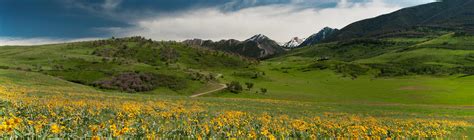 Spring in Yellowstone Country