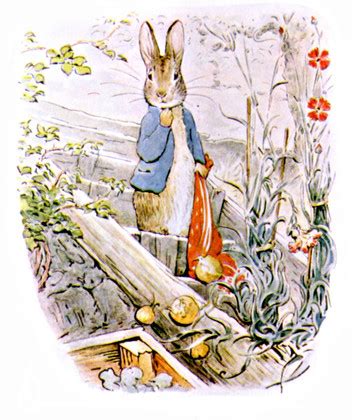 The Original Peter Rabbit Books eBook by Beatrix Potter - EPUB | Rakuten Kobo United States