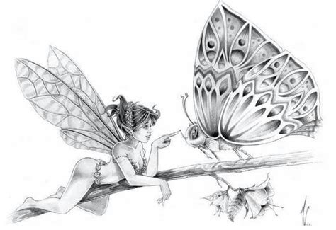 Butterfly Fairy Line Drawing | butterflydrawingstepbystep