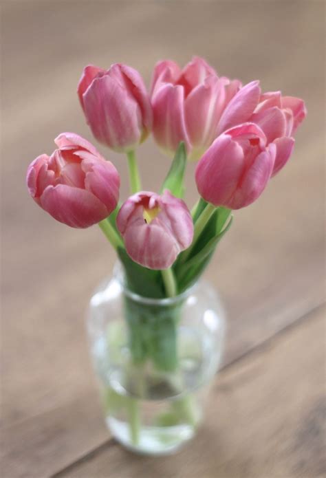 How to Arrange Tulips in a Vase | Julie Blanner | Tulips arrangement, Tulips, Flower arrangements