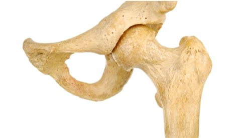 Types Of Irregular Bones