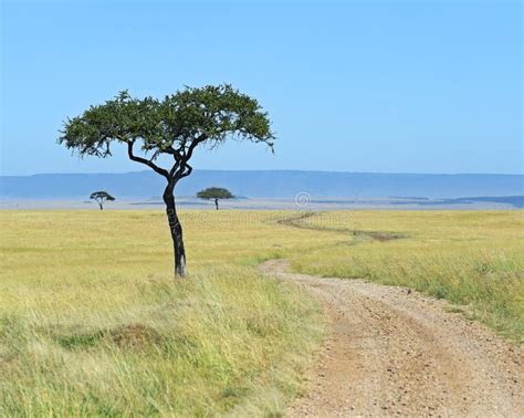 Masai Mara stock photo. Image of distance, wildlife, landscape - 40240098