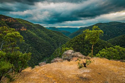 Mountain Australia Landscape Forest Wallpaper - Resolution:2394x1599 ...