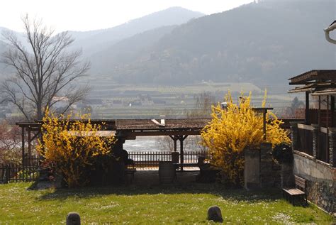 Austrian Wine Road--The Wachau Wine Region