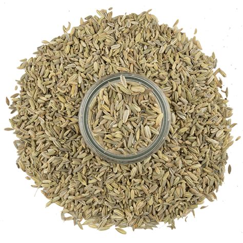 Whole Fennel Seeds | Buy Fennel Online | The Spice House