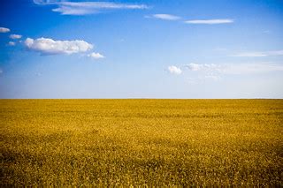 Ukraine. Flag colors | This photo taken on road. It is pure … | Flickr