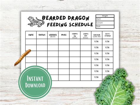 Weekly Bearded Dragon Feeding Chart - Etsy