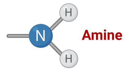 Amine Structure