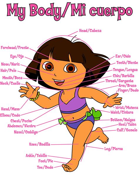 Dora the Explorer Body Chart by dev-catscratch on DeviantArt