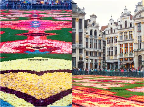 BRUSSELS FLOWER CARPET - S Marks The Spots