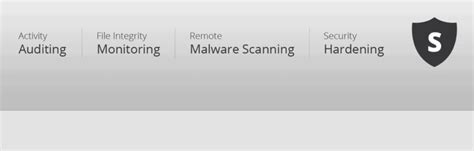 Top 10 WordPress Malware Scanners For Detecting Malware - BlogVault