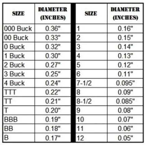 Figuring Out The Best Shot Size For Turkey Hunting At A Glance ...