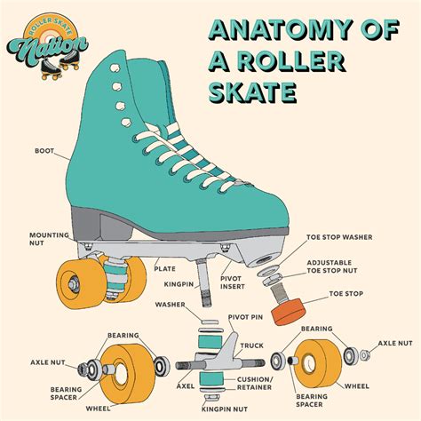 Anatomy of a Roller Skate | Roller derby skates, Roller skate shoes ...