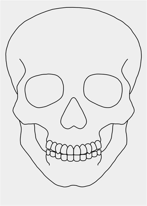 Skull Outline Clip Art - Simple Human Skull Drawing is popular png clipart & cartoon images ...